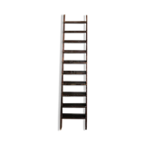 Large old ladder