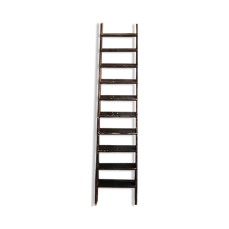 Large old ladder