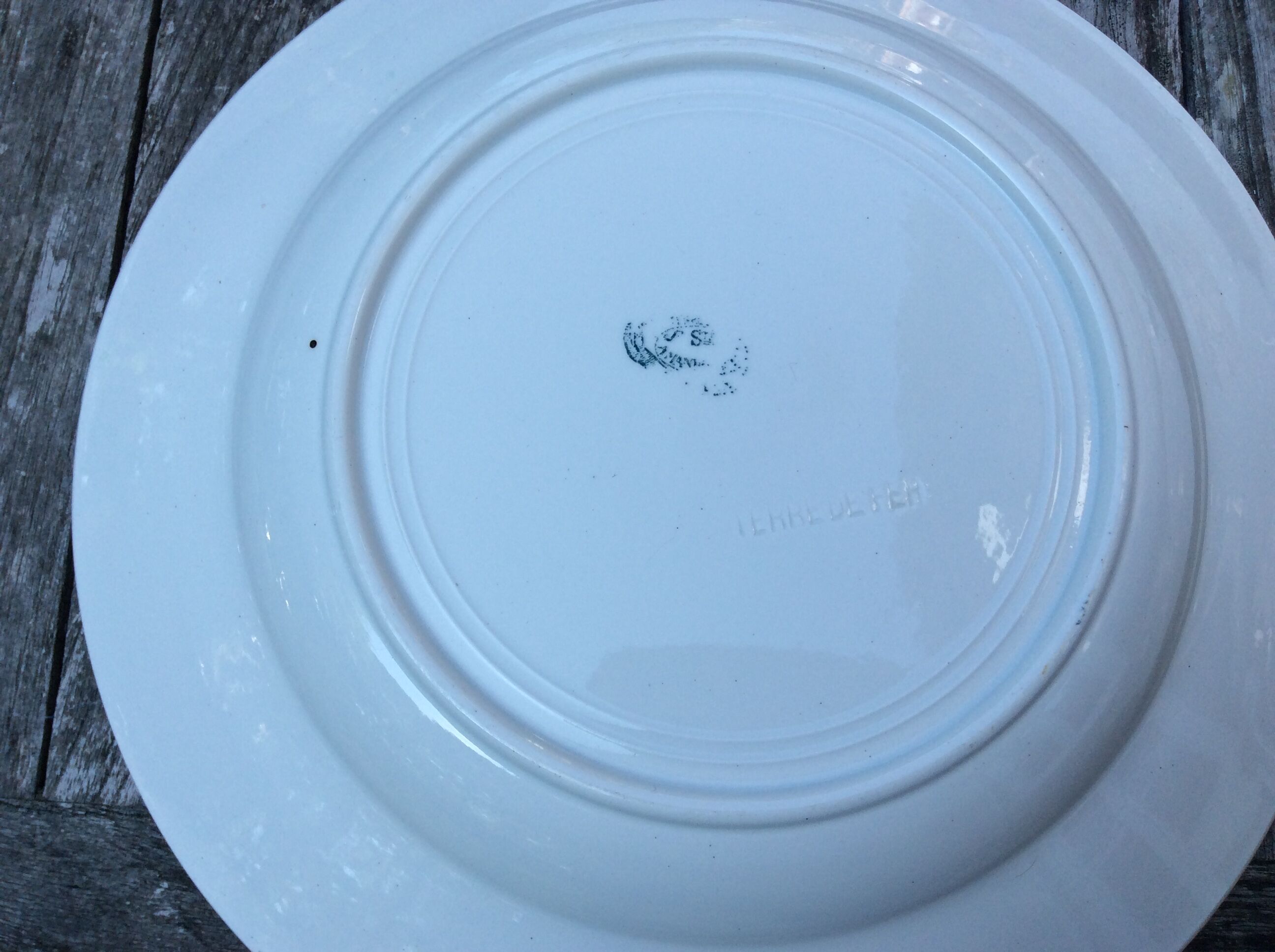 Series 6 tablespoons Plate Iron Earth