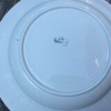 Series 6 tablespoons Plate Iron Earth