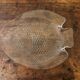 Large vintage glass fish dish