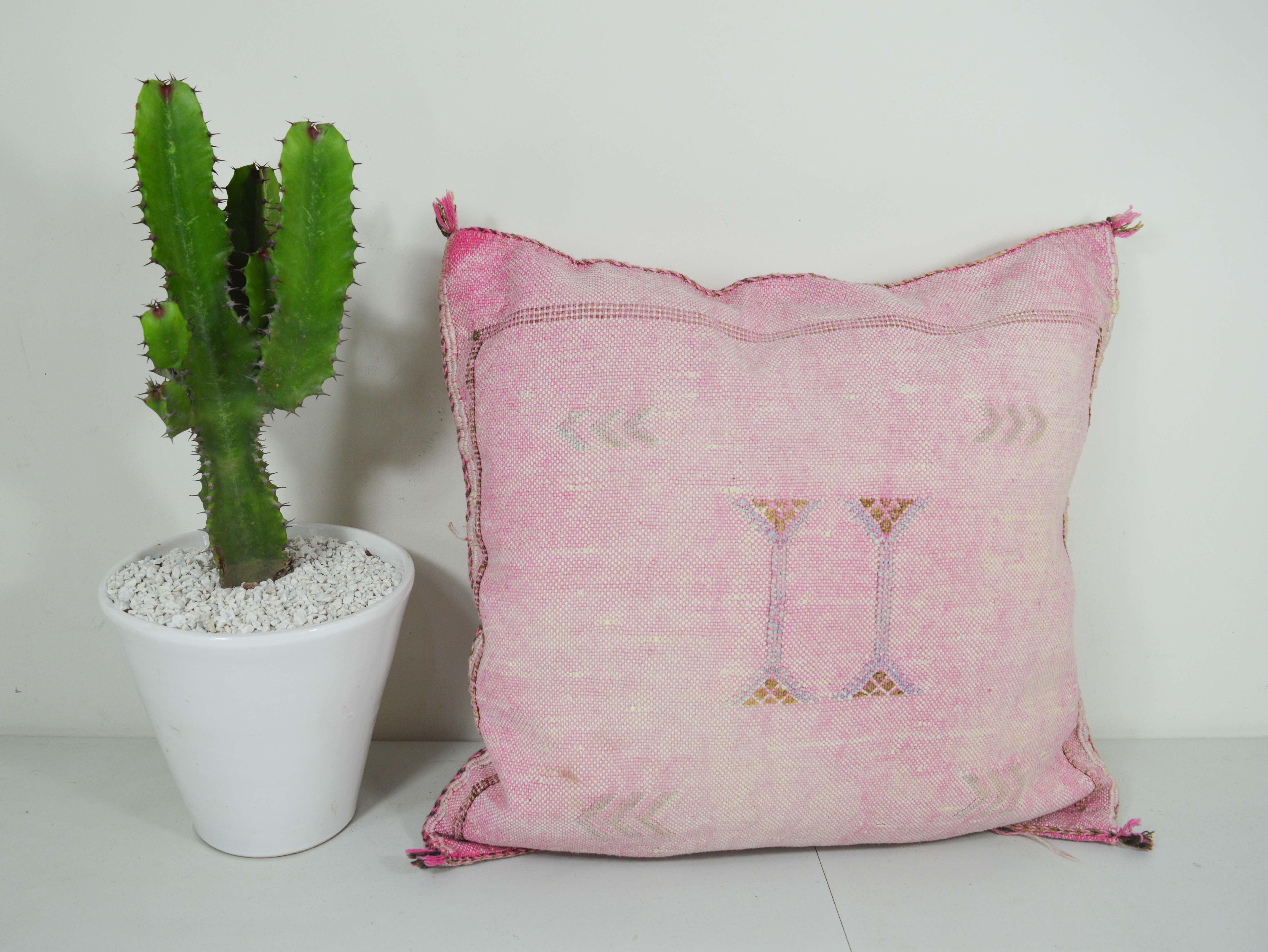 cactus cushion