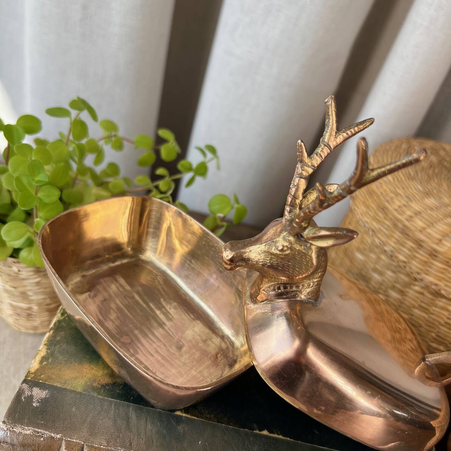 “Deer” brass box