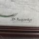 Vintage French still life in watercolour, signed Asquiedge
