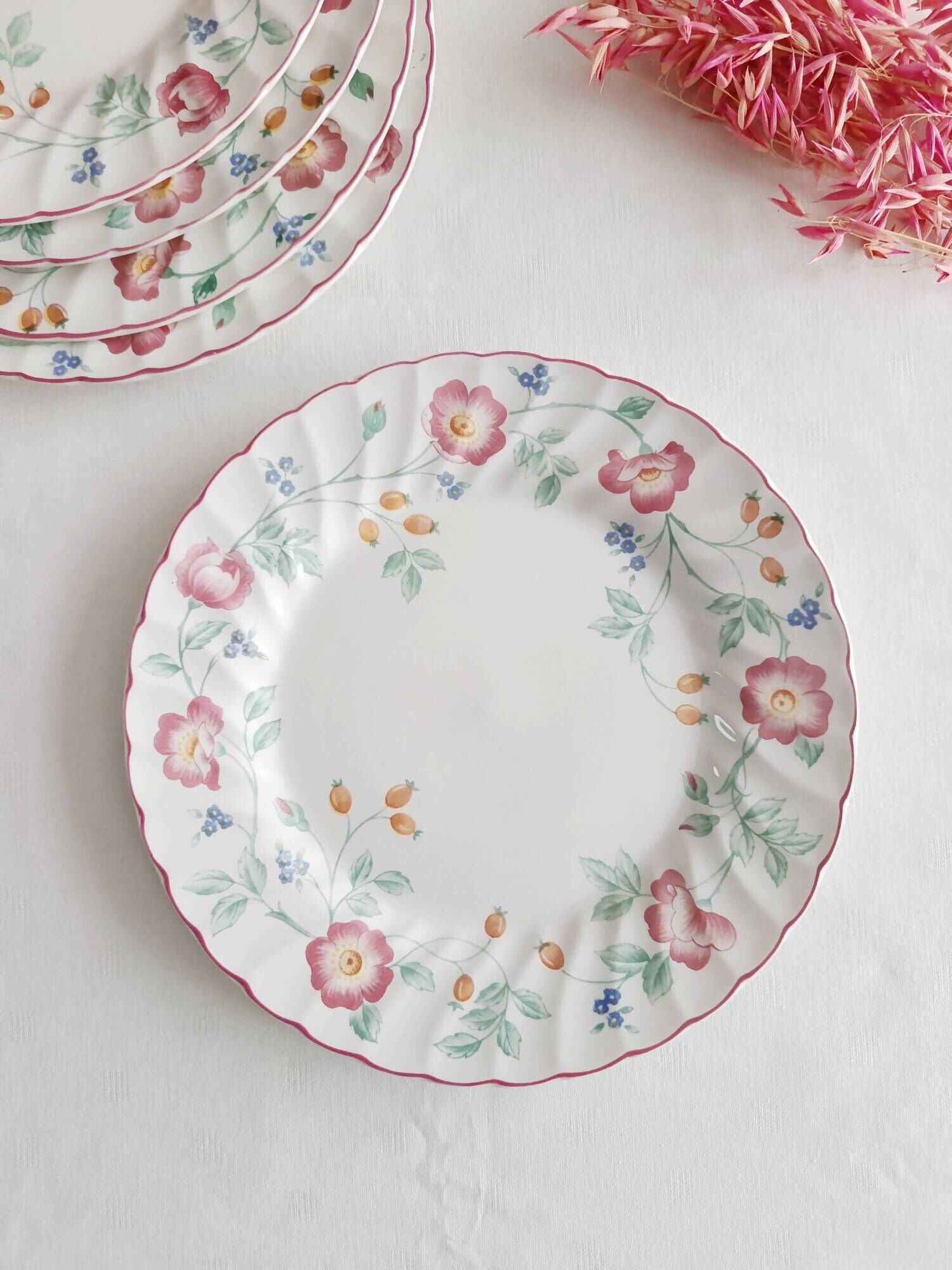 Set of 5 flat plates Churchill, Briar Rose