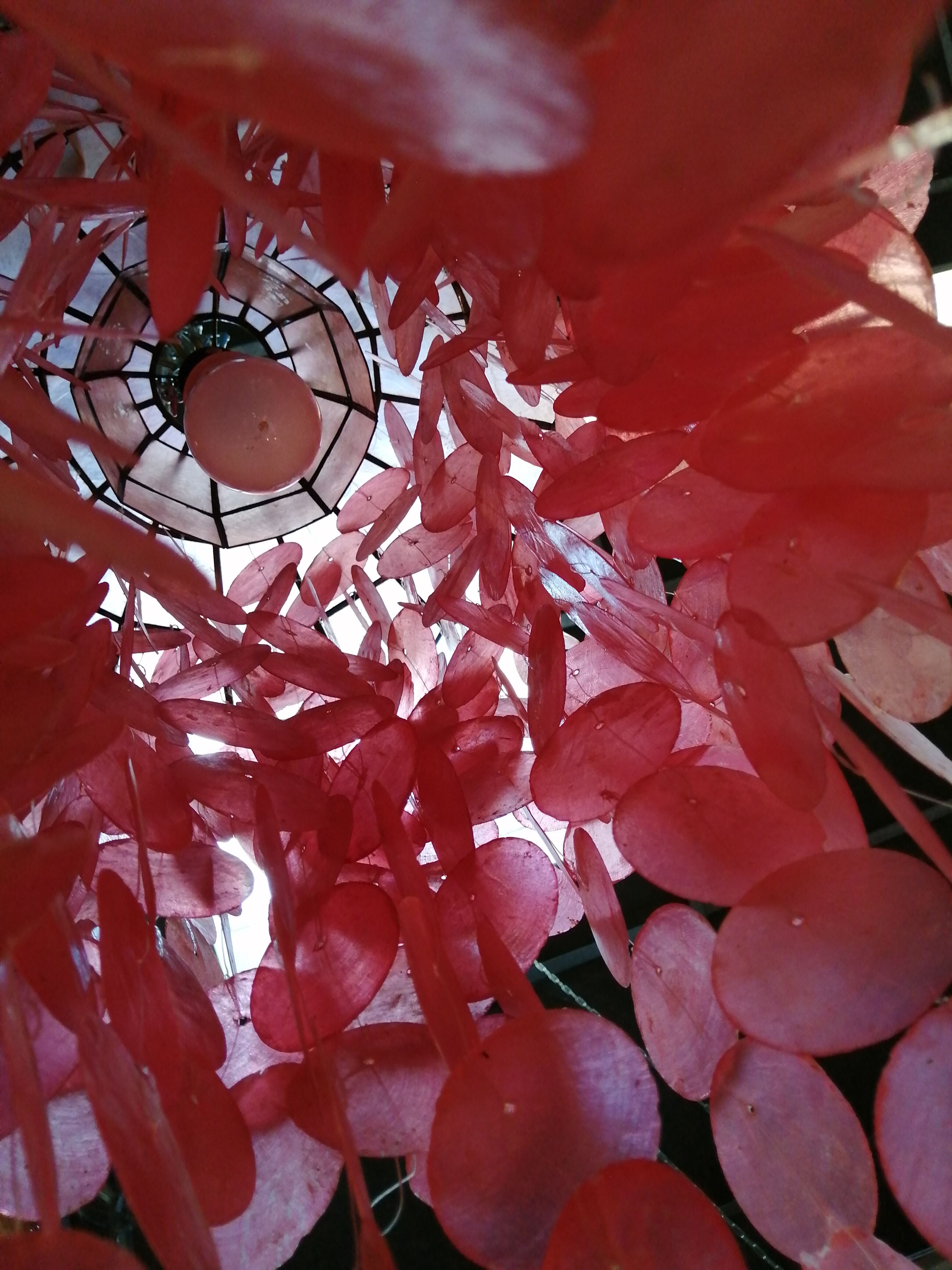 Suspension with pink mother-of-pearl tablets
