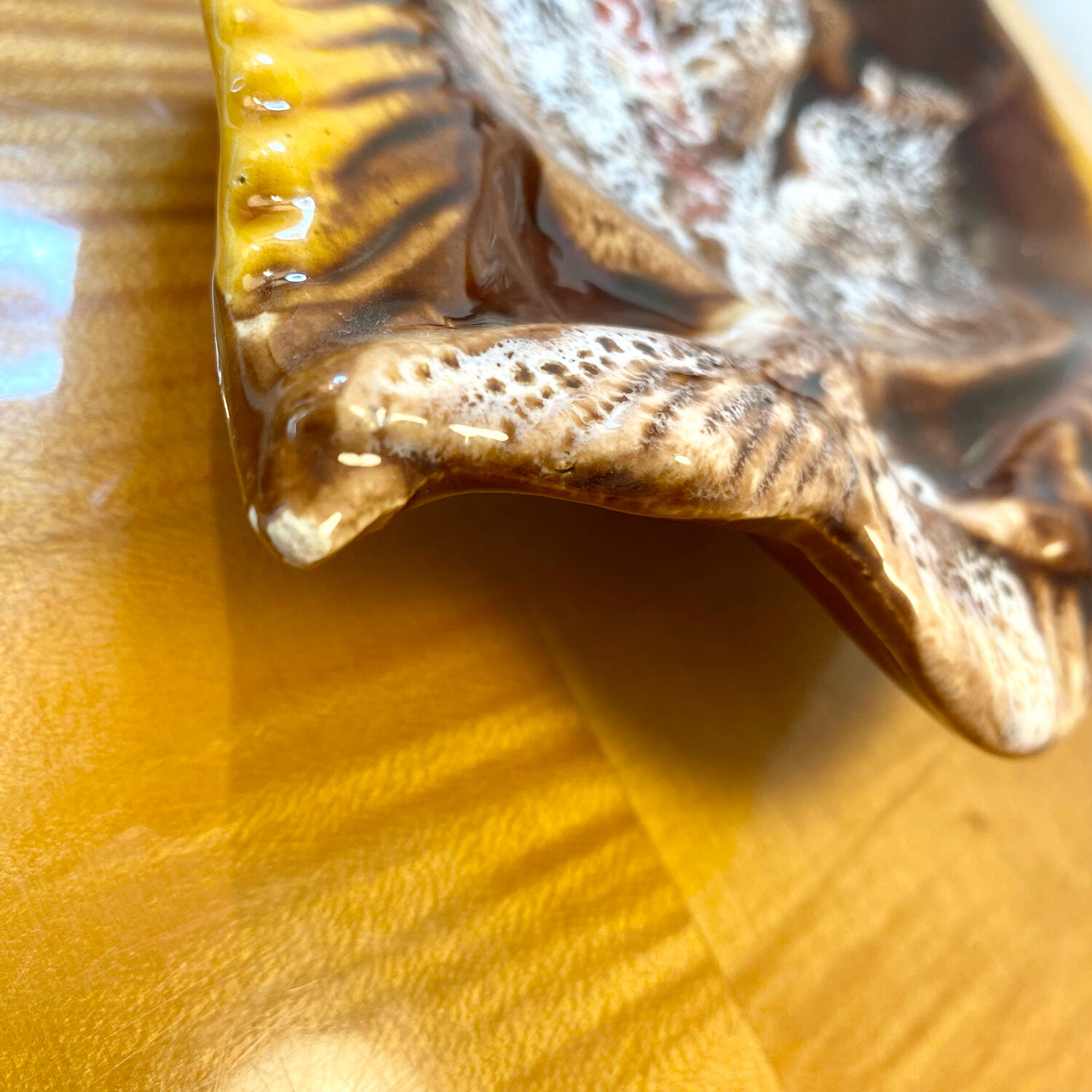 Fish tidy in ceramic