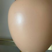 Lampe Le Dauphin années 80