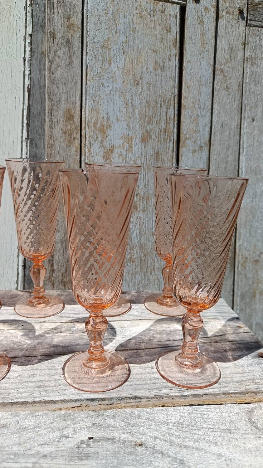 Rosaline champagne flutes set of 12