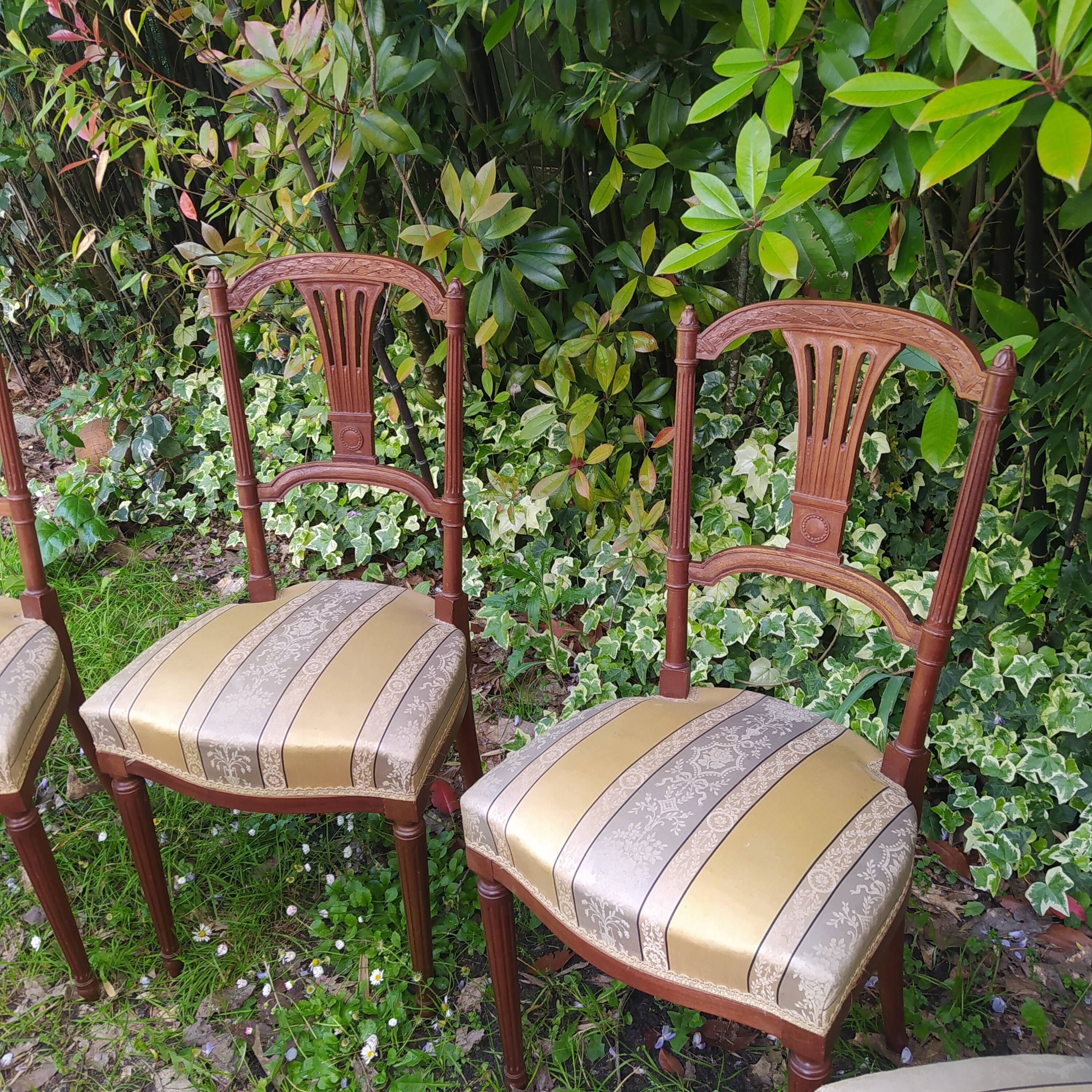 4 old chairs from the early 20th century in mahogany