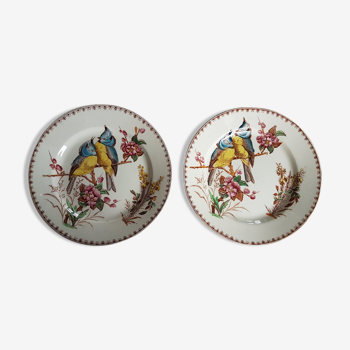 Pair of Luneville earthenware plates with bird decor