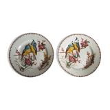 Pair of Luneville earthenware plates with bird decor