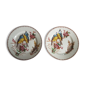 Pair of Luneville earthenware plates with bird decor