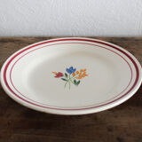 Jeannette flat plates