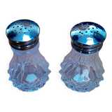 Salt and pepper shaker