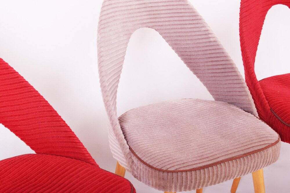 Chaises Mid-Century en hêtre, tchèque, années 1950, ensemble de 4
