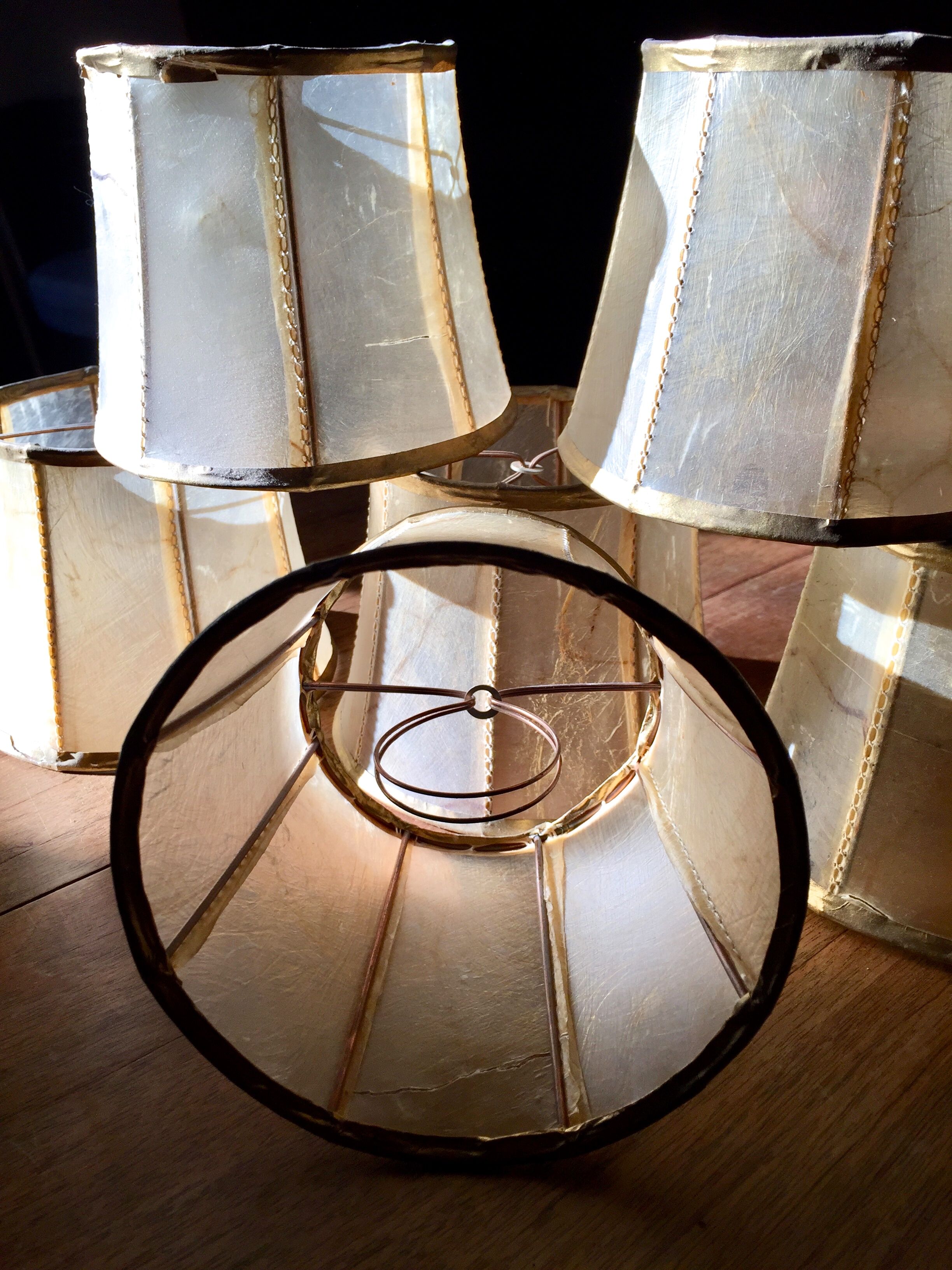 Vintage pork bladder lamps-day for dutch lustre