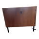 Vintage 2-door furniture