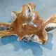 Sculptural wooden centrepiece, organic bowl, brutalist.