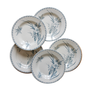 5 assiettes creuses en terre de