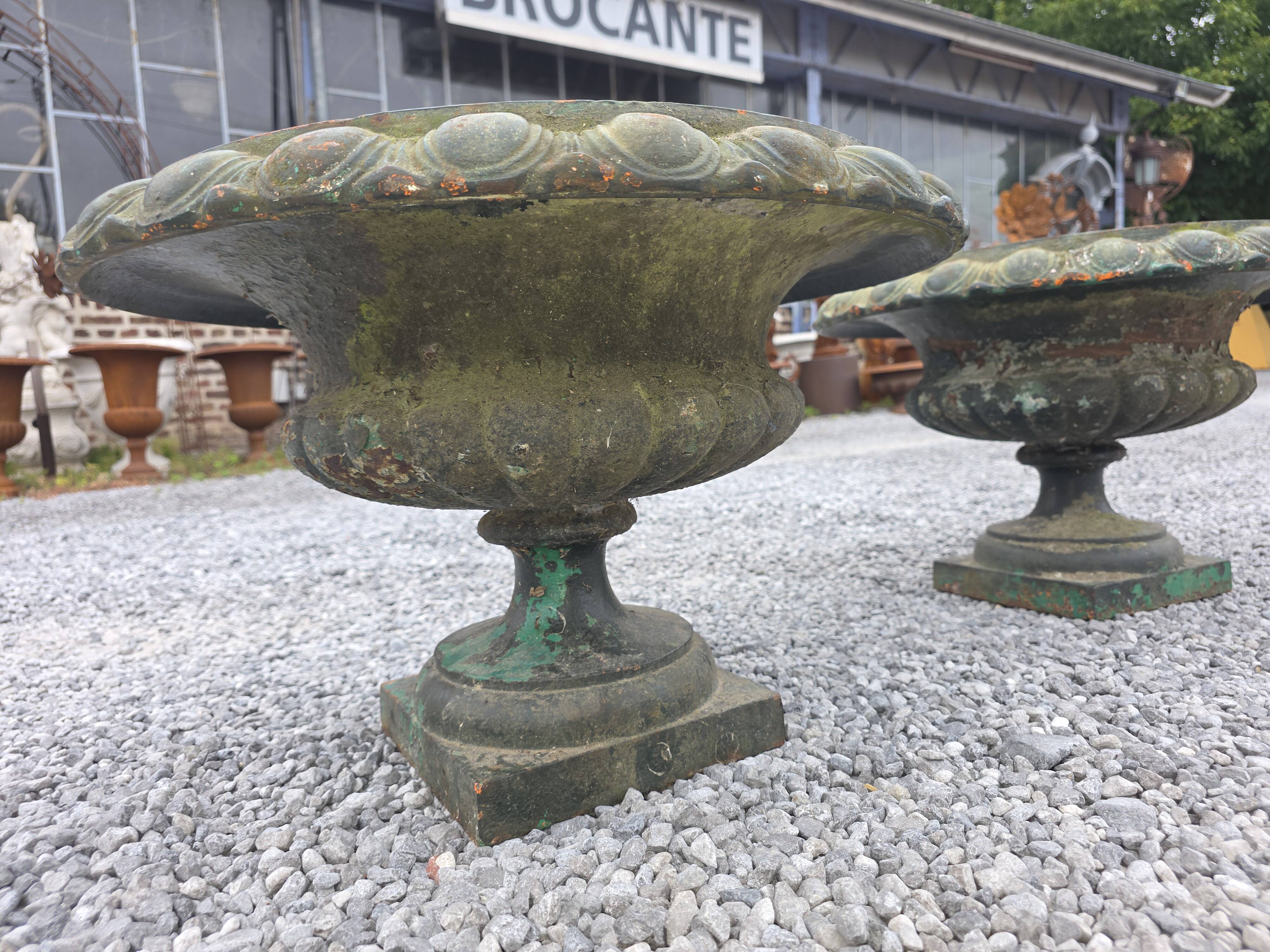 Pair of Medici vases in cast iron from the 19th century, 55cm wide.