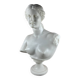 Bust of Venus – Aphrodite – White neoclassical sculpture – 32 cm