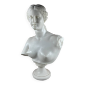 Bust of Venus – Aphrodite – White neoclassical sculpture – 32 cm