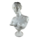 Bust of Venus – Aphrodite – White neoclassical sculpture – 32 cm