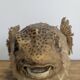 Diodon or taxidermied pufferfish