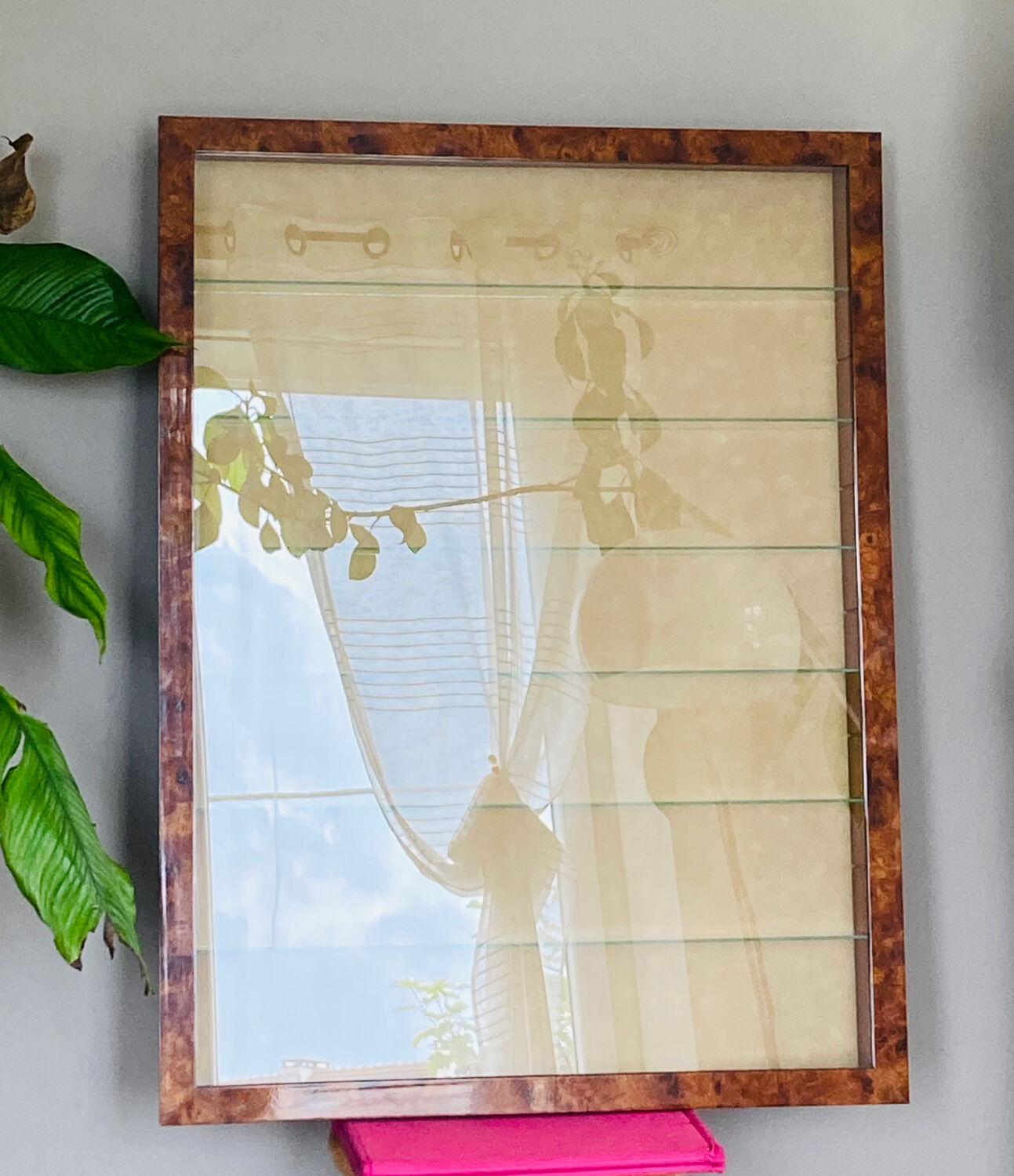 Peli-folies wall showcase in real elm magnifying glass, french manufacture (available)
