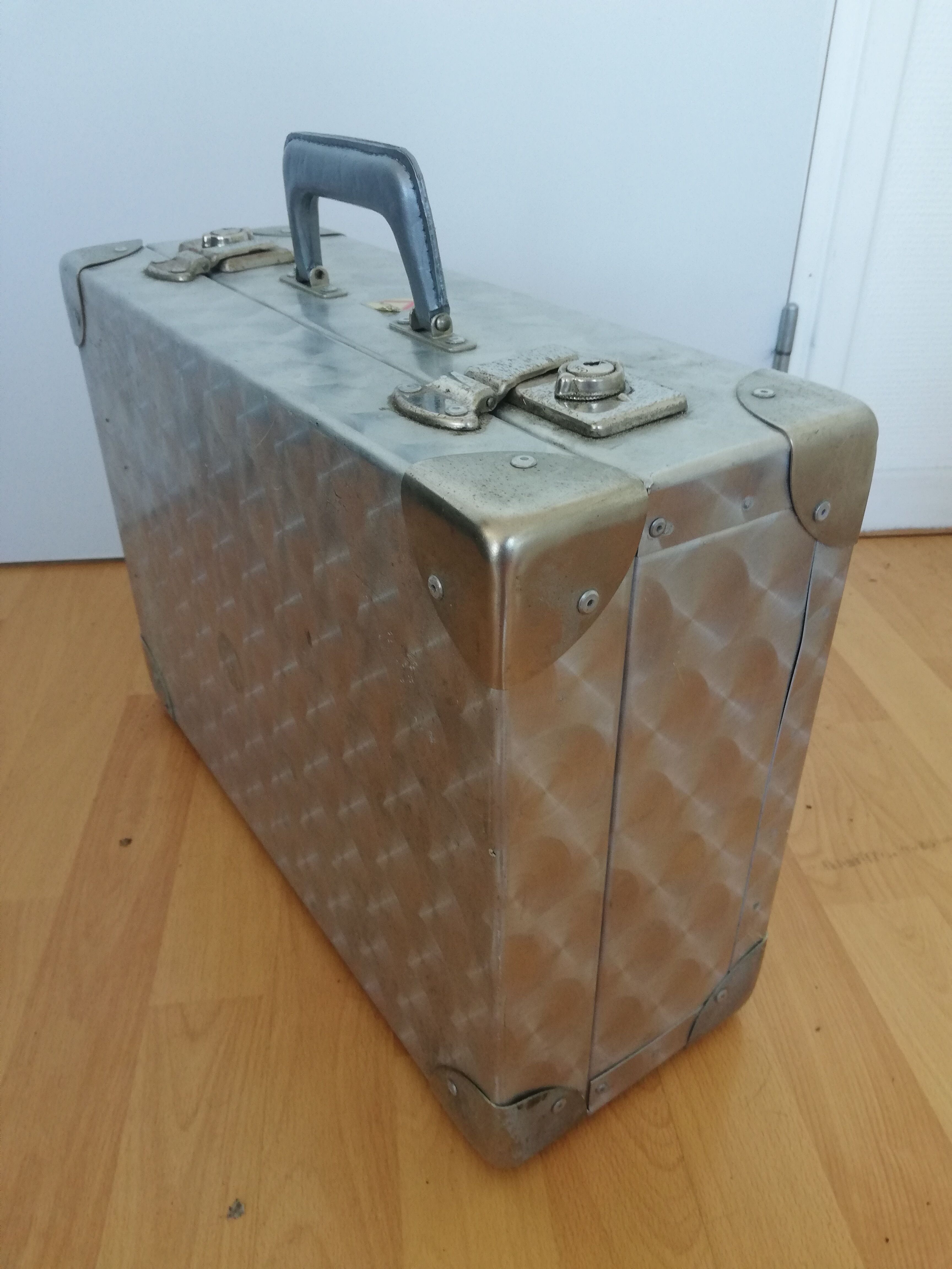 Verlim metallic travel trunk case