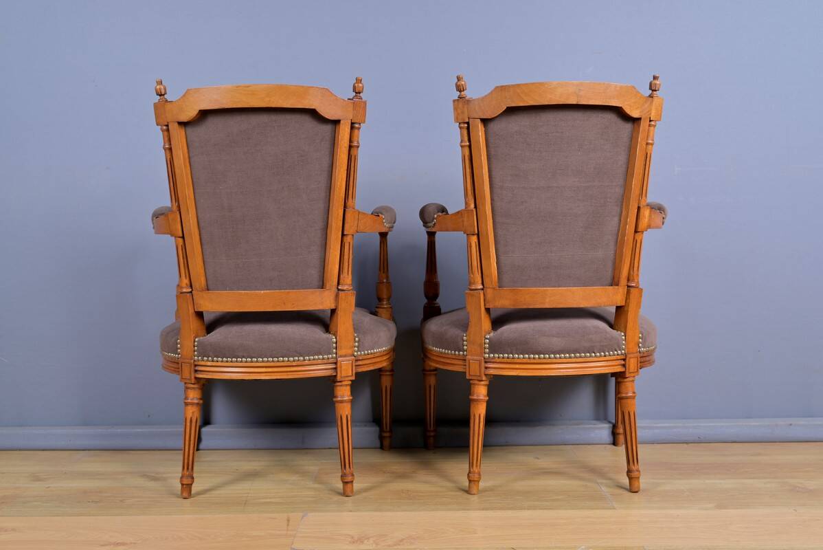 Pair of stained beech armchairs, Louis XVI style – 1950