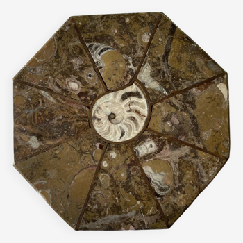 Dessous de plat en pierre de fossiles et laiton