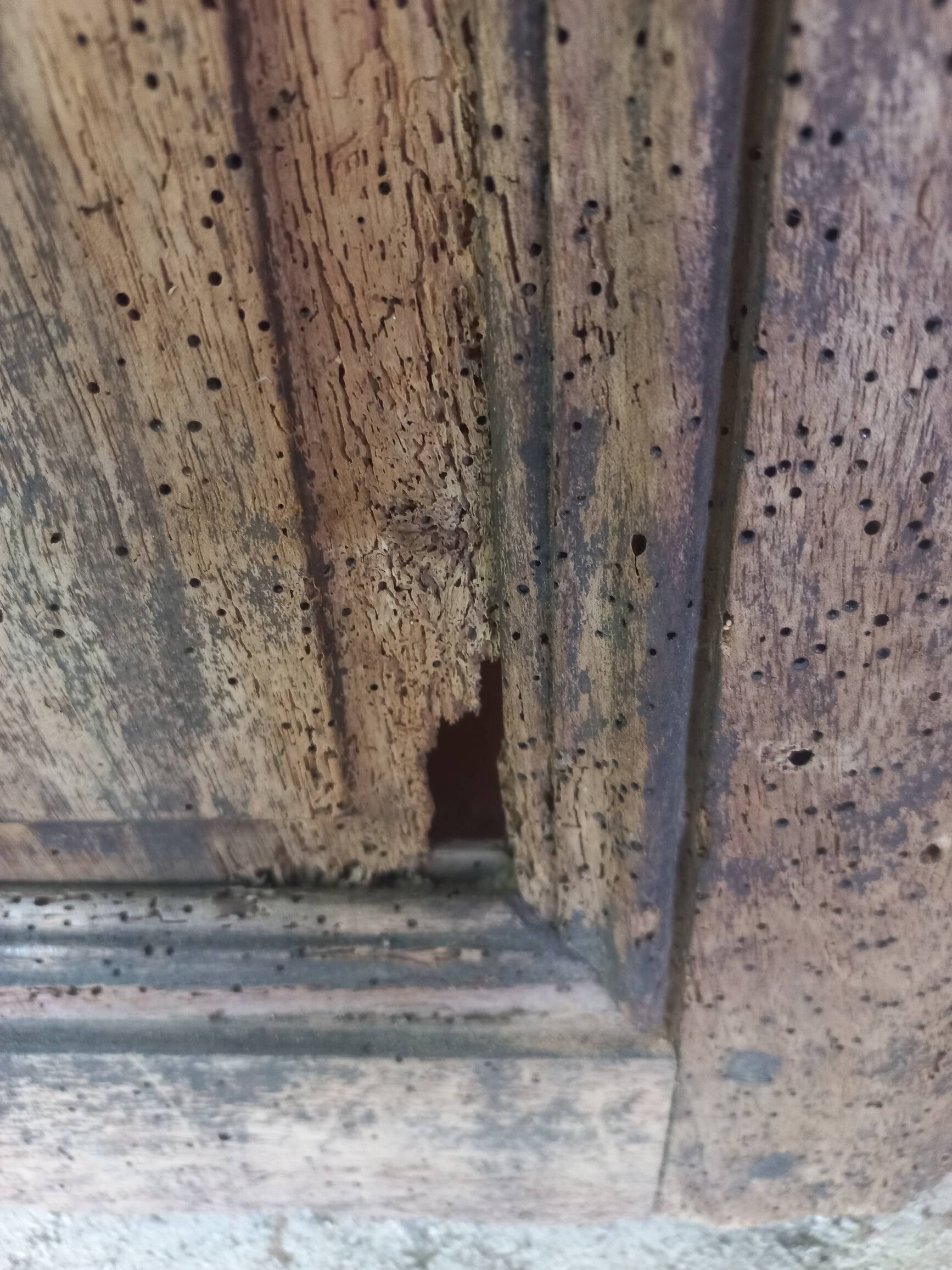 Old Louis XV wardrobe door jumika