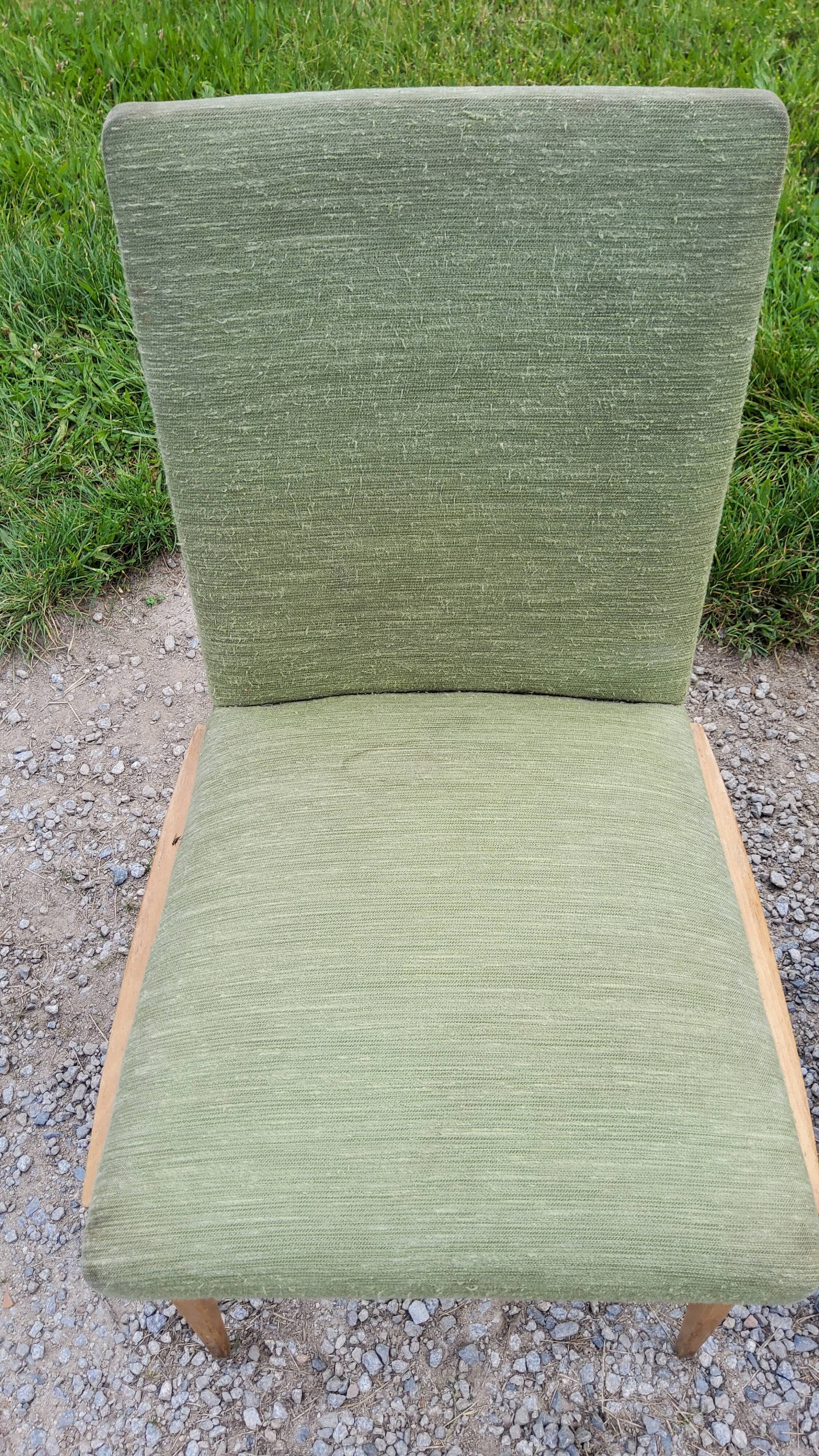 Pair of chairs from the 50s in sycamore tinted beech