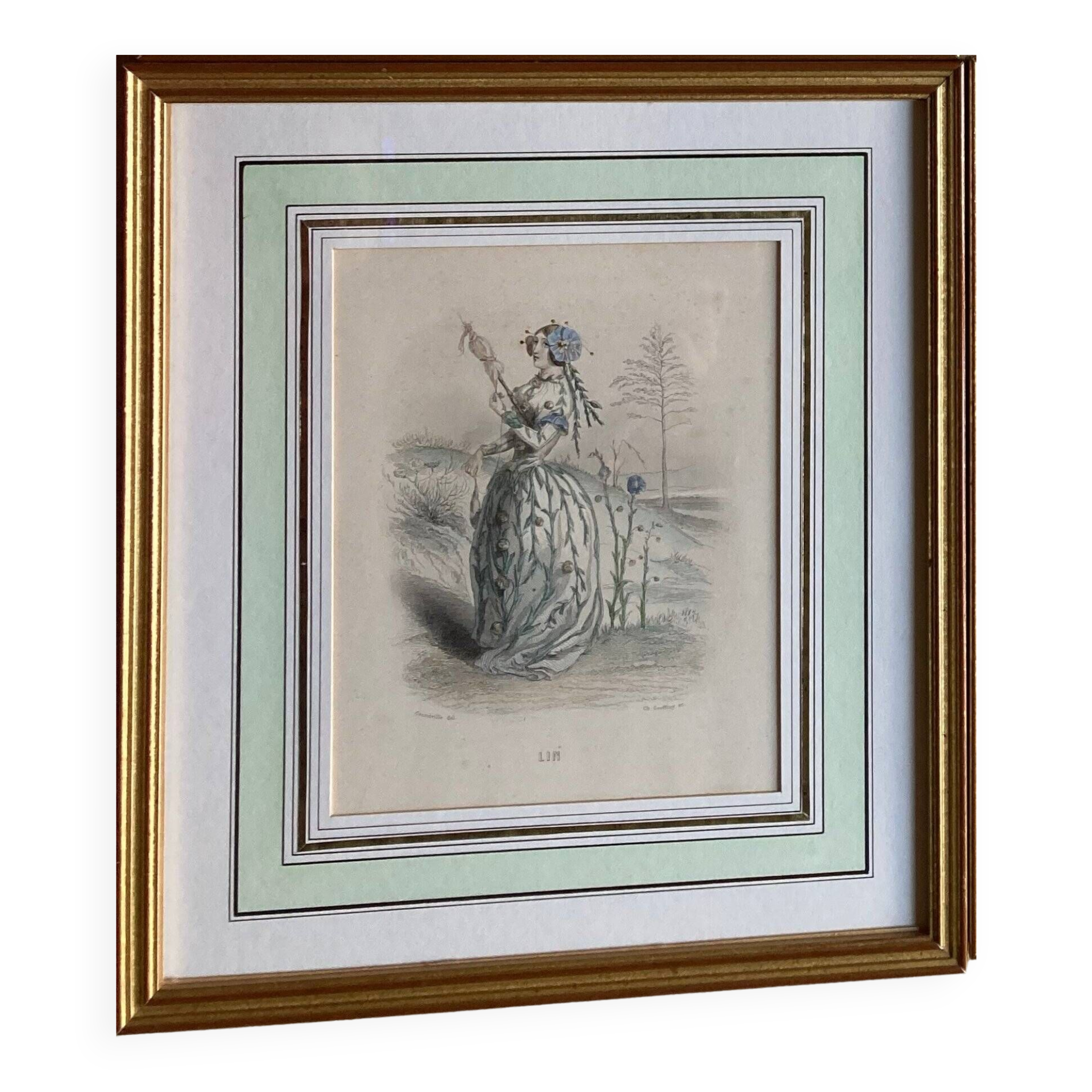 Lot 2 framed engravings "animated flowers" JJ Grandville: Linen and Tulip