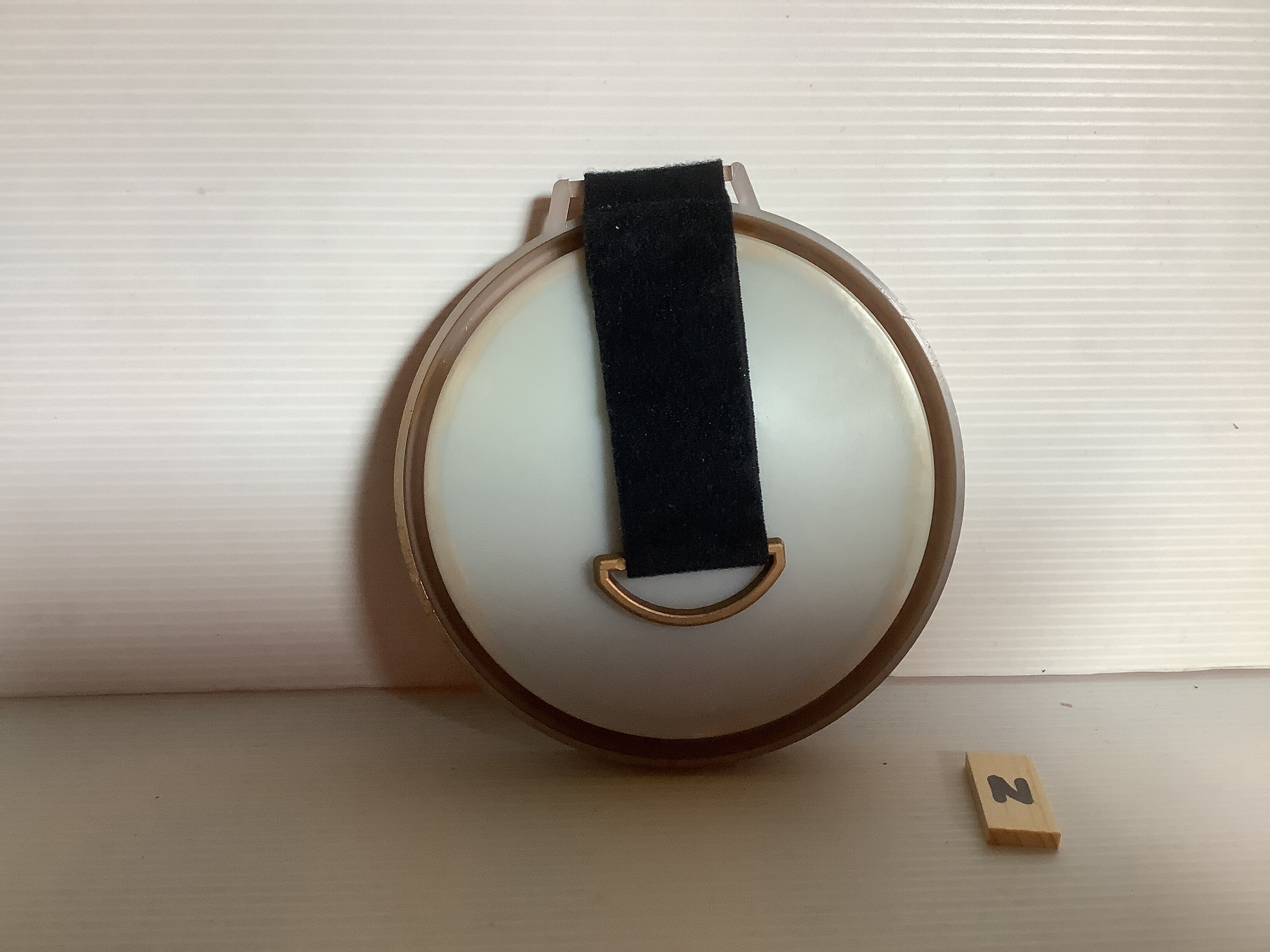 Old small round frame curved glass natural dried flowers