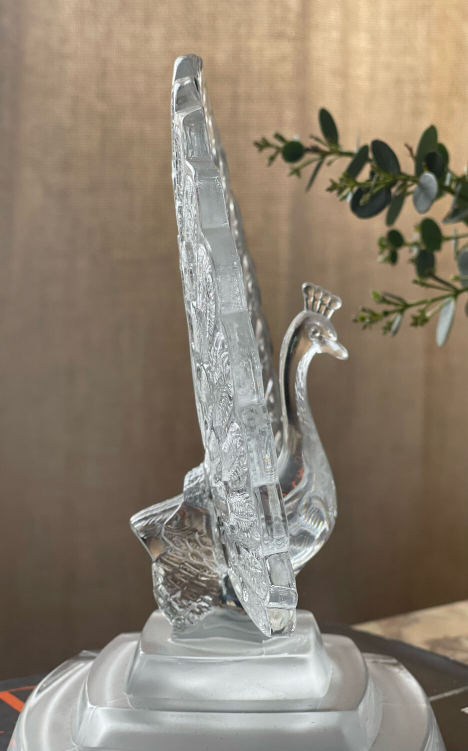 Crystal peacock book greenhouse