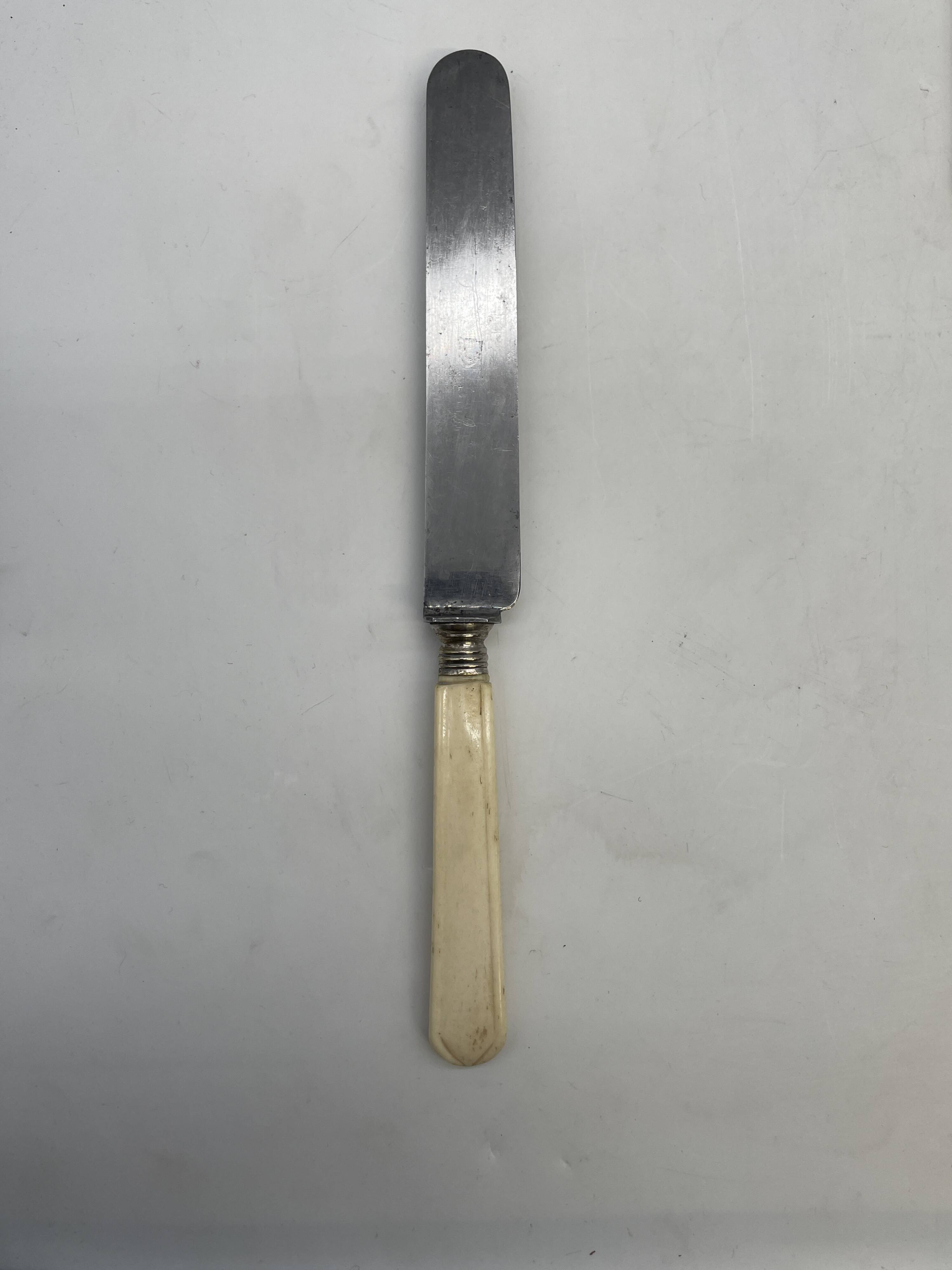 Lot de 5 couteaux à déjeuner manche ivoire