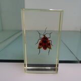 Lot 4 insects inclusion resins to identify vintage