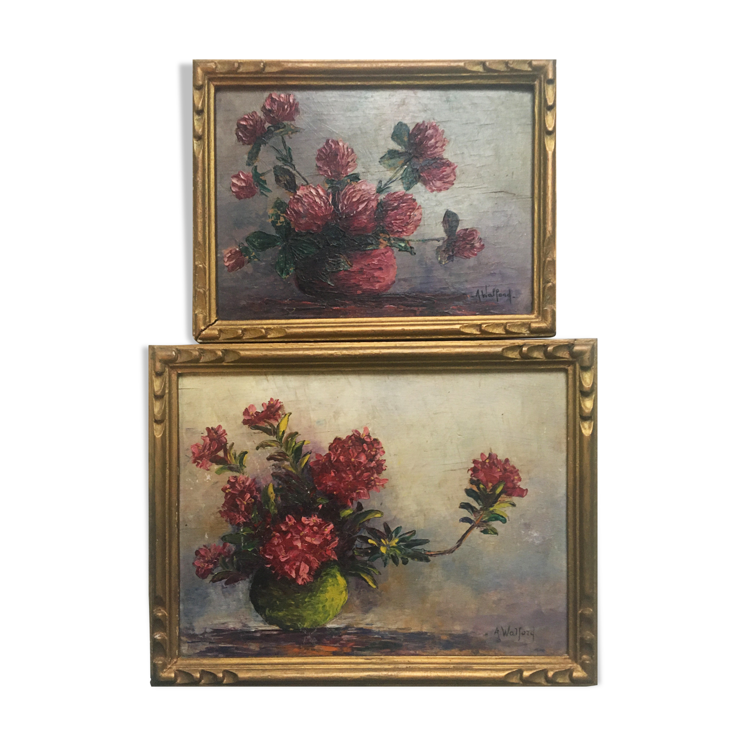 Paintings "roses of the alps" by Astrid Walford (1907-1984)