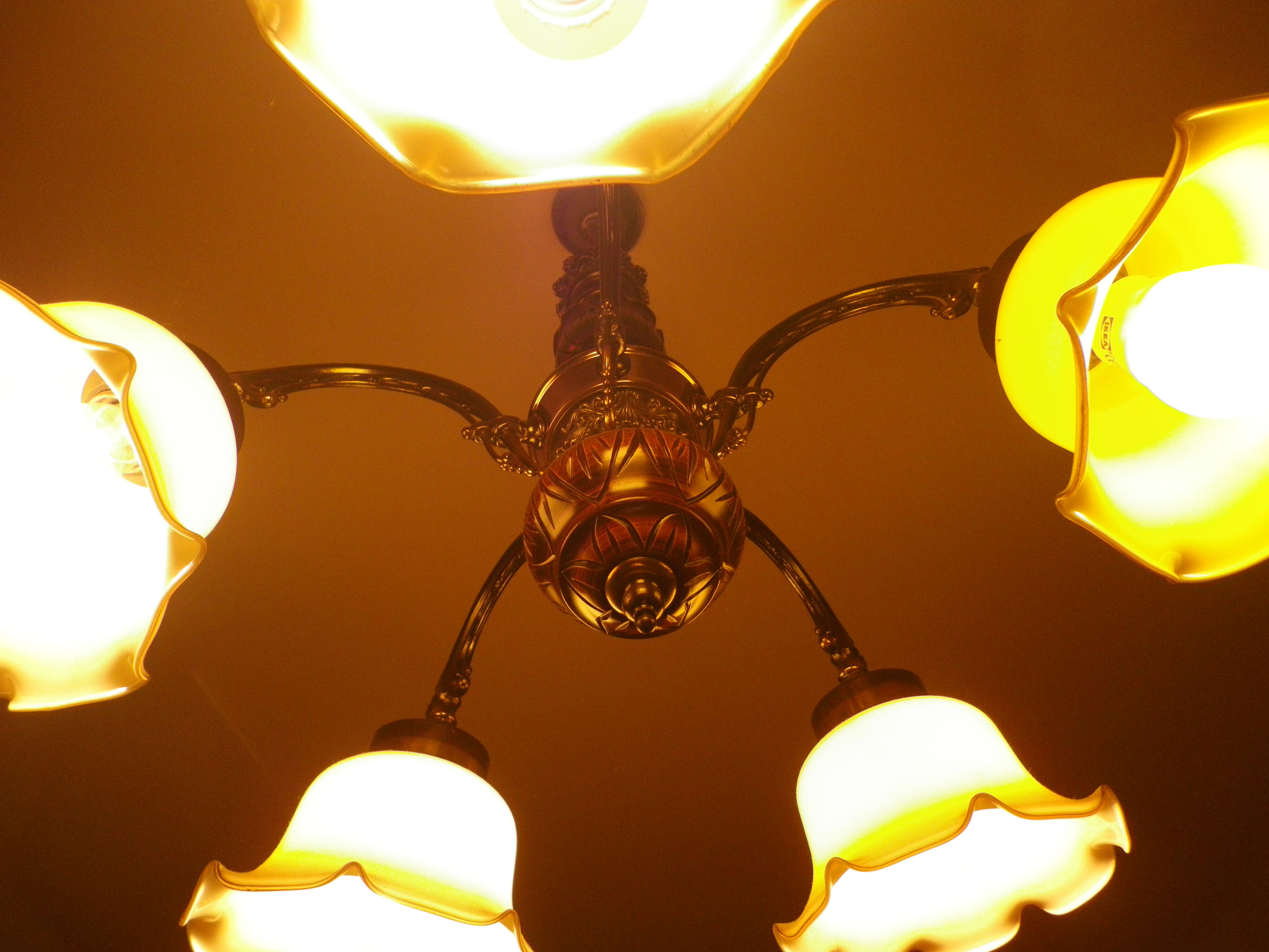 Five-branch suspension in wood and gold metal with a corolla opaline lampshade.