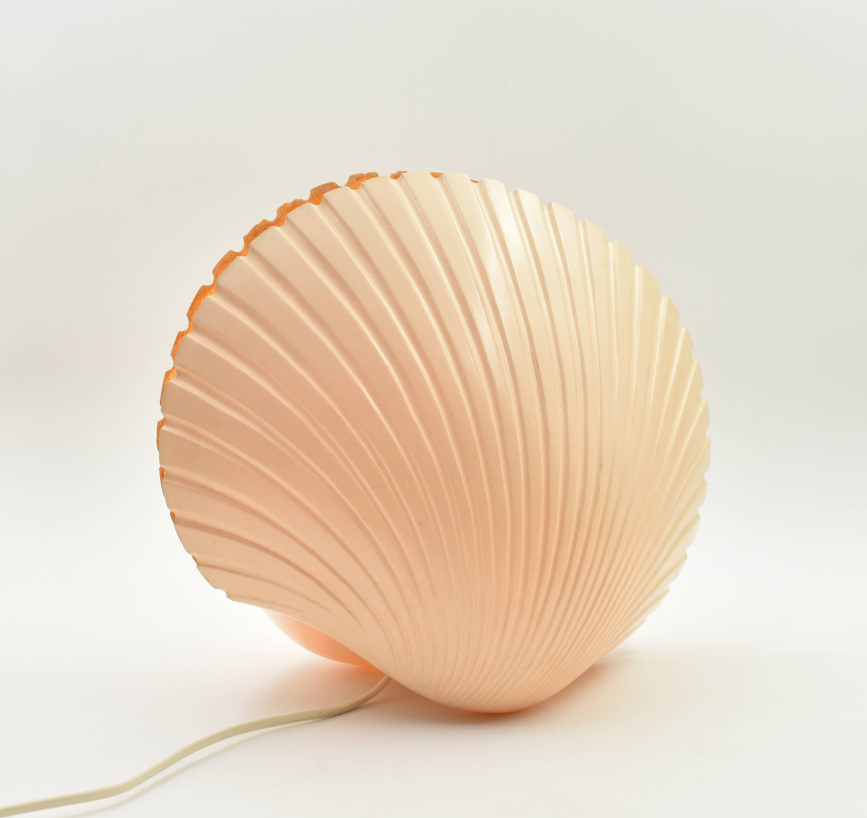 Lamp shell Saint Jacques fiber