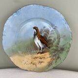 Antique decorative plate