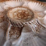 Vintage French Oyster Plate in Majolica from Longchamp