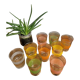 Lot de 9 verres granité doré