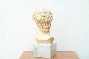 Bust of David by Michelangelo 1950s