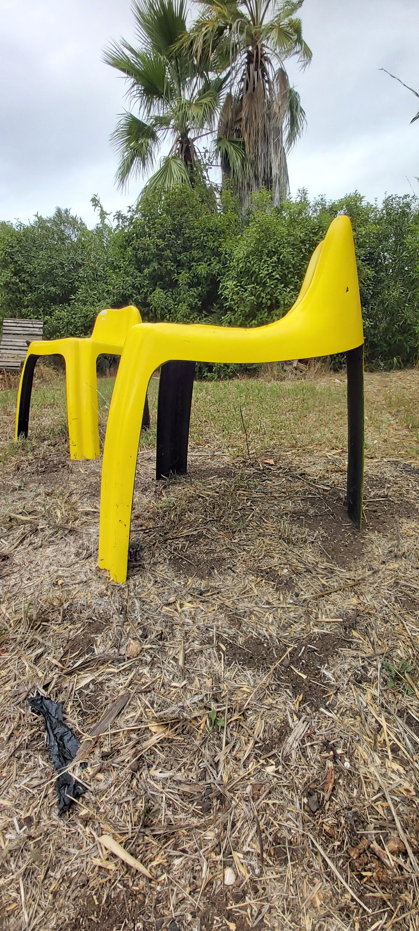 2 chairs ginger 1970