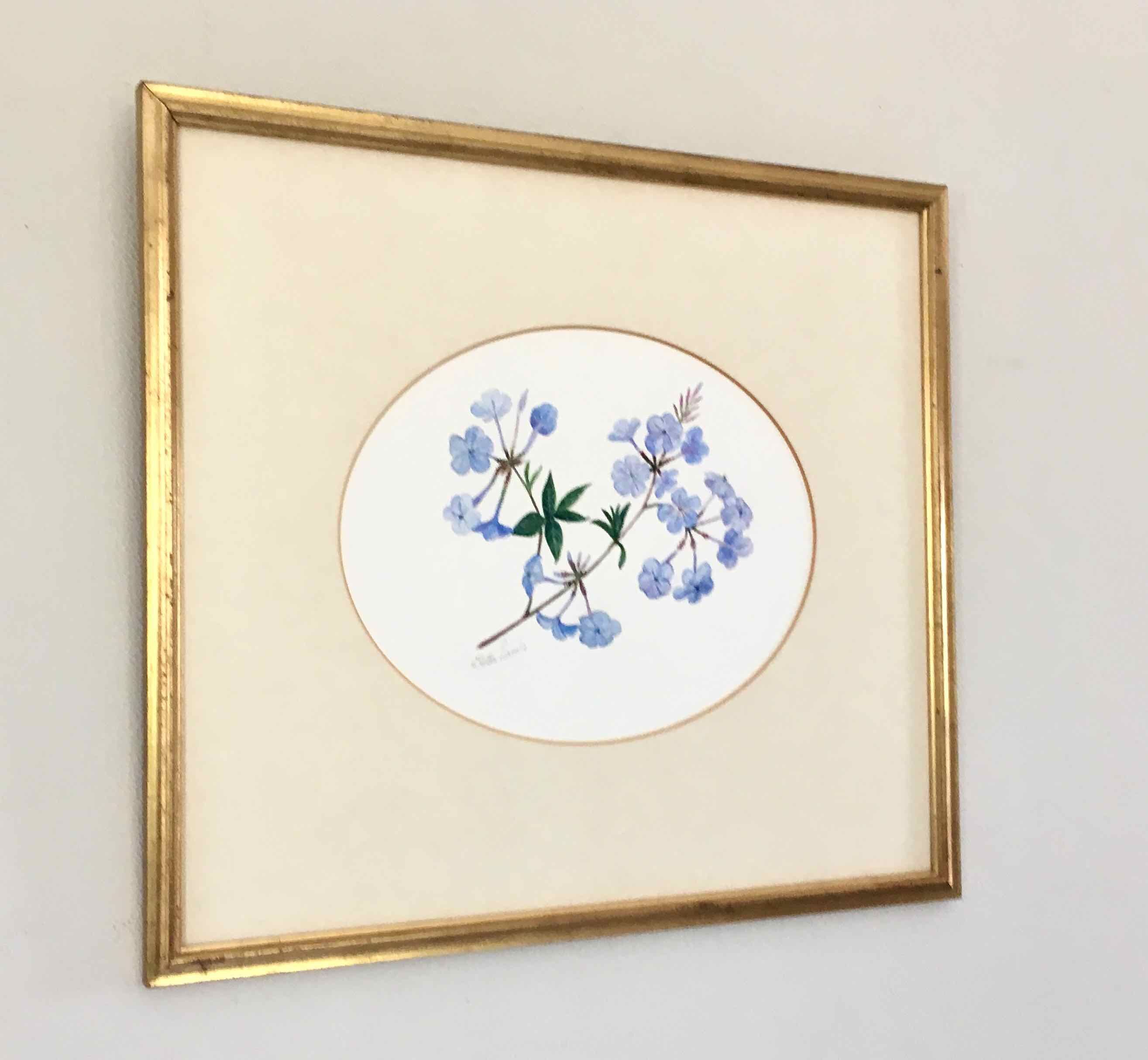 Tableau aquarelle fleurs de plumbago