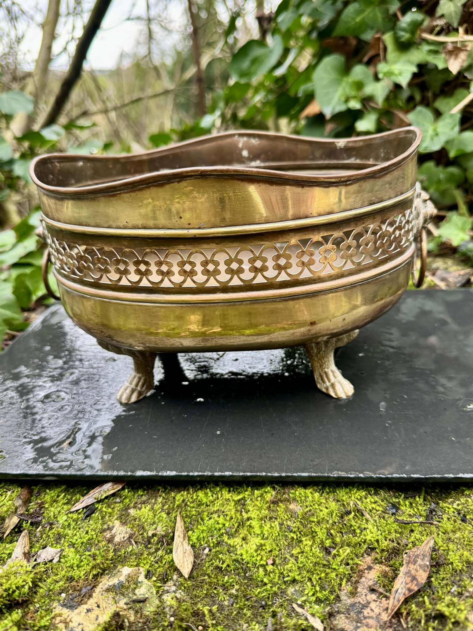 Large brass lion planter from the Napoleonic III era.